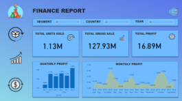 Financial Report Summary